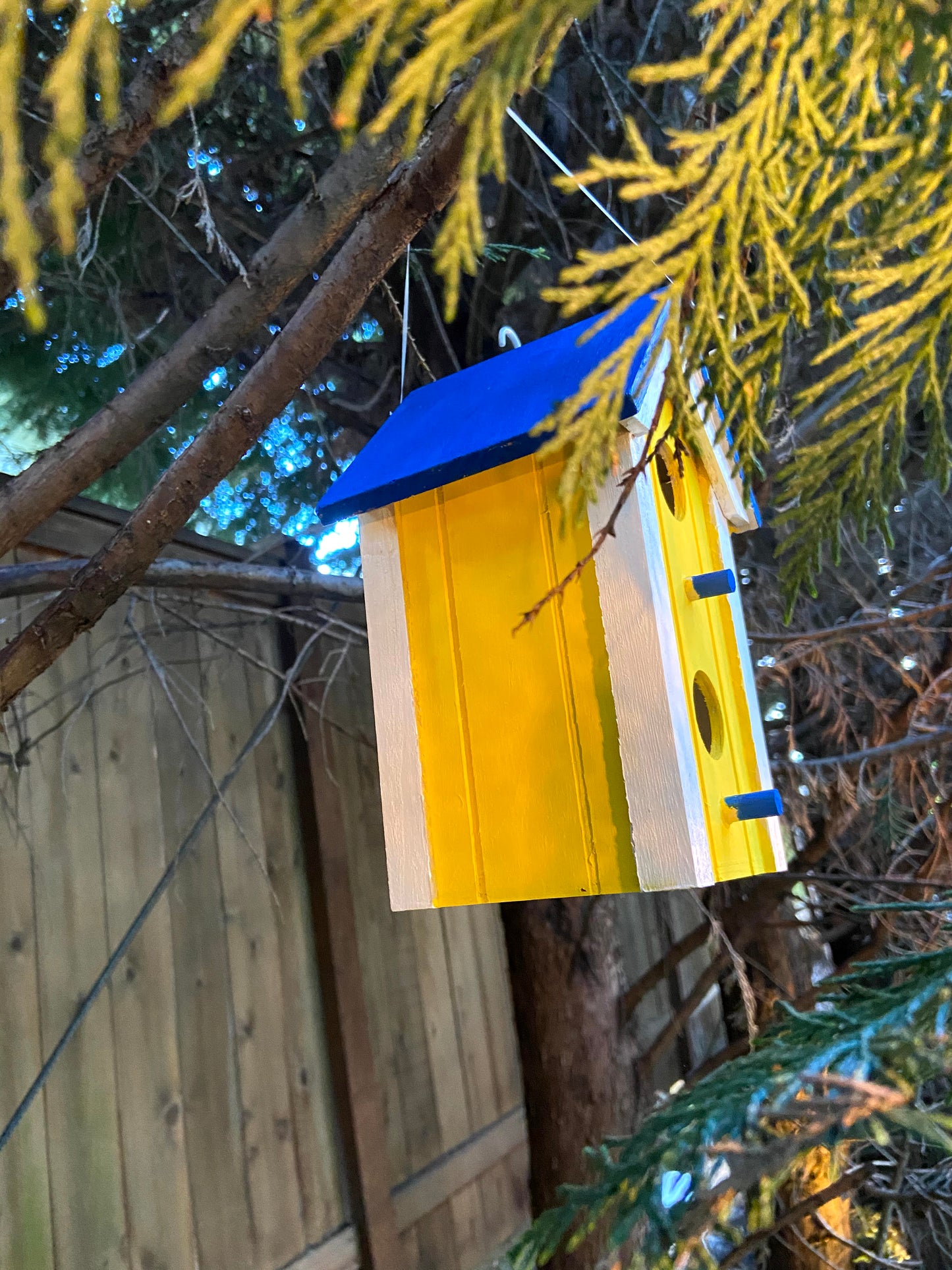 Birdhouse (Food Allergy Research)